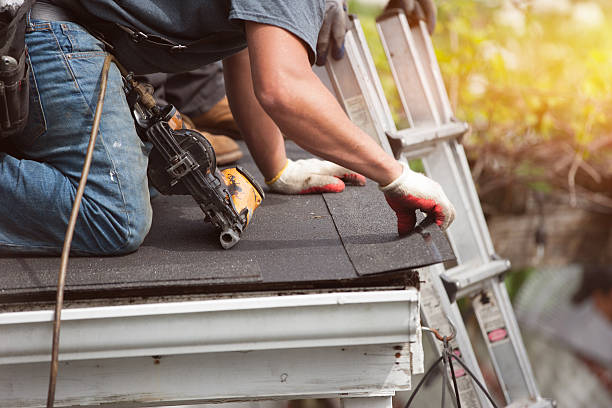 Best Roof Gutter Cleaning  in Belle Isle, FL