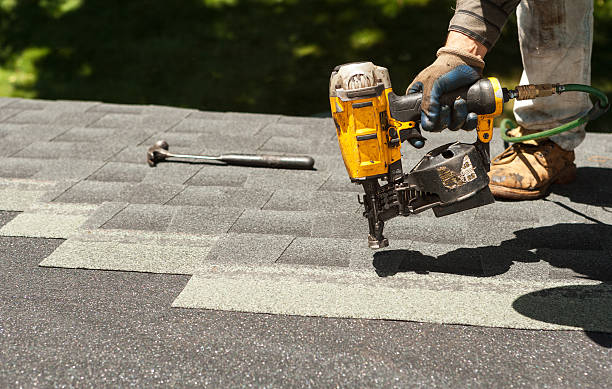 Best Storm Damage Roof Repair  in Belle Isle, FL